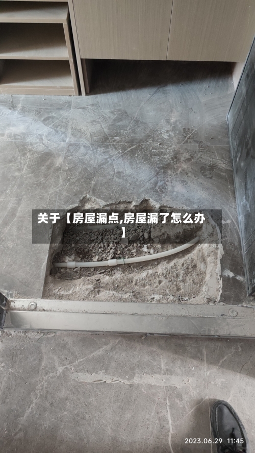 关于【房屋漏点,房屋漏了怎么办】-第2张图片