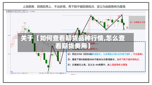 关于【如何查看期货品种行情,怎么查看期货费用】