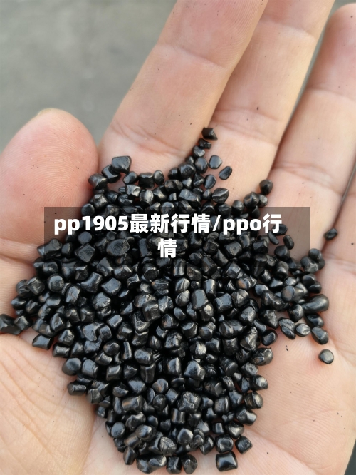 pp1905最新行情/ppo行情