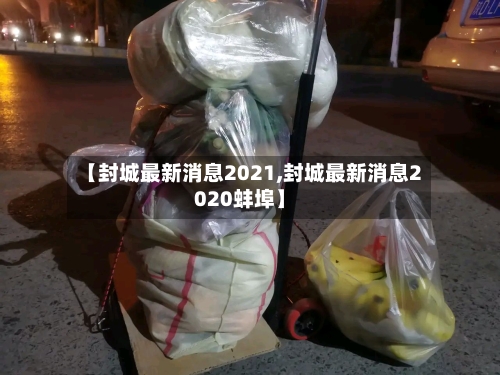 【封城最新消息2021,封城最新消息2020蚌埠】
