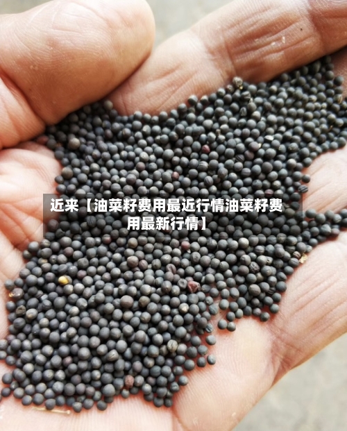 近来【油菜籽费用最近行情油菜籽费用最新行情】